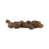 Tabak (Nicotiana tabacum) 20 Samen