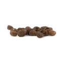Tobacco (Nicotiana tabacum) 20 seeds