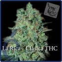 La Rica Classic THC (Elite Seeds) feminized