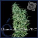 Llimonet Haze Classic THC (Elite Seeds) feminized