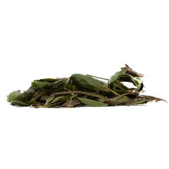 Bobinsana (Calliandra angustifolia) 20 grams