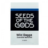 Wild Dagga (Leonotis leonurus) 10 seeds