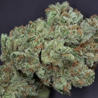 Ghost Train Haze 1 (Rare Dankness)