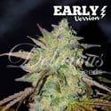 Marmalate Early Version (Delicious Seeds) feminized