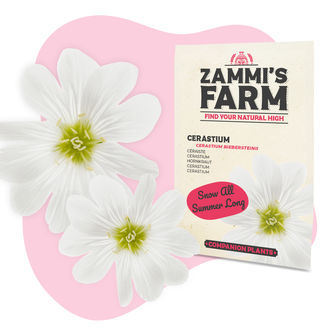 Buddy Mix Pack NUTRIENT