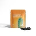 Echinopsis macrogona (Trichocereus macrogonus) 20 seeds