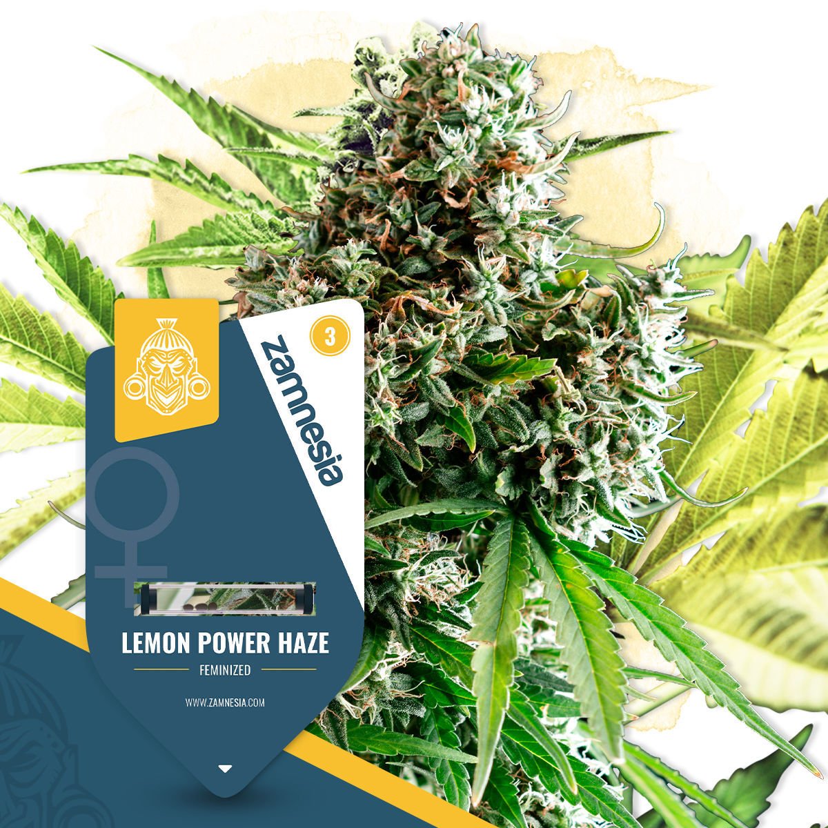 Lemon Power Haze - Zamnesia Seeds - Zamnesia