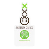 AK-020 Autoflower (Amsterdam Genetics) Feminized