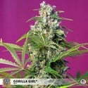 Gorilla Girl (Sweet Seeds) feminisiert