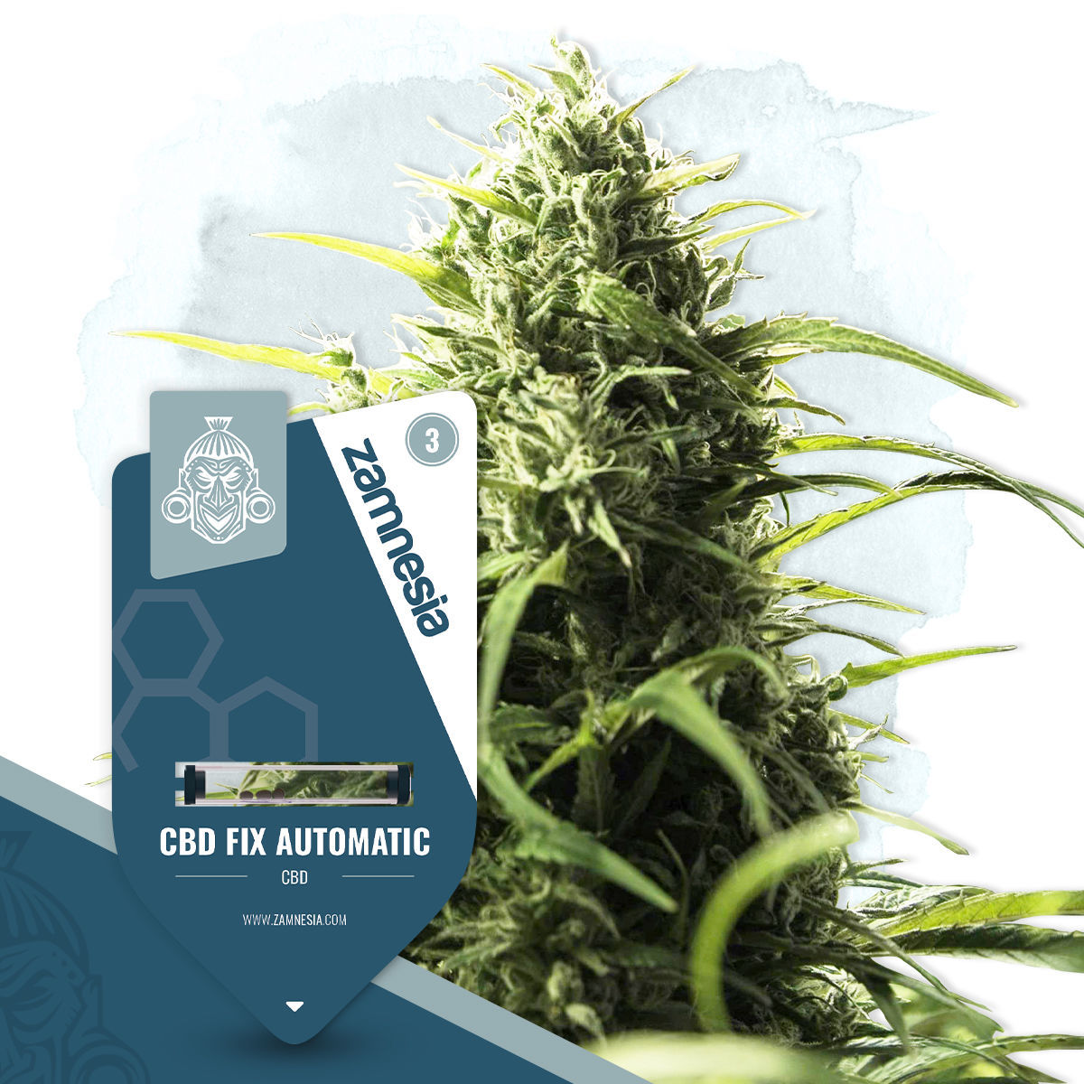 CBD Fix Autoflowering (Zamnesia)