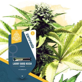 Larry Bird Kush (Zamnesia Seeds) feminisiert