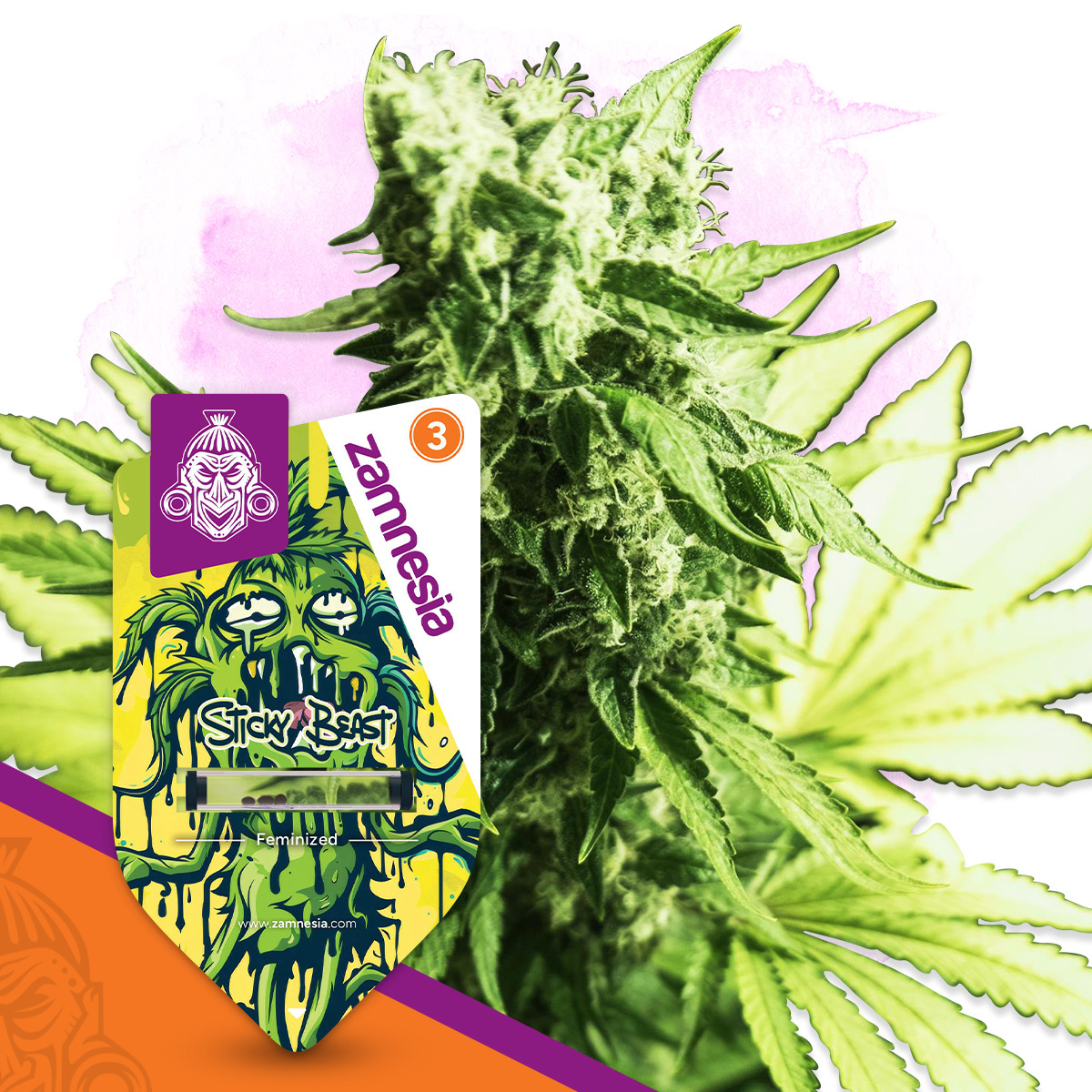Sticky Beast | Zamnesia Seeds