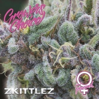 Zkittlez (Growers Choice) feminisiert