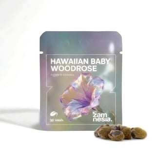 Hawaiian Baby Woodrose Madagascar (Argyreia nervosa) 10 seeds