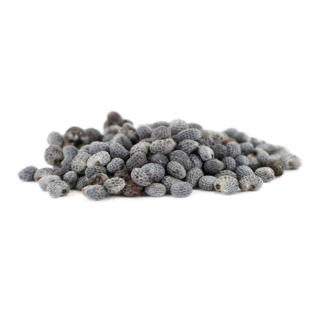 Opium Poppy (Papaver somniferum) Seeds Zamnesia