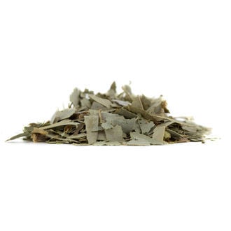 Eucalyptus globulus (20g)