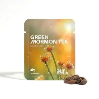 Green Mormon Tea Seeds (Ephedra viridis) 20 Seeds