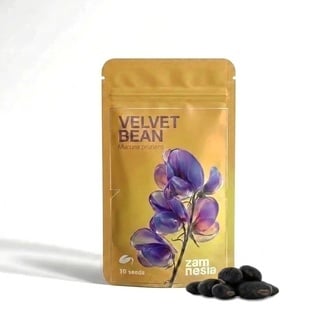 Velvet Bean Seeds (Mucuna pruriens)