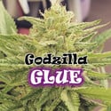 Godzilla Glue (Dr. Underground) feminisiert