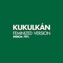 Kukulkan (Pyramid Seeds) feminisiert