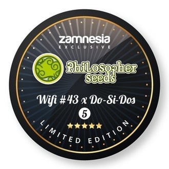Wifi 43 x Do-Si-Dos (Philosopher Seeds x Zamnesia) feminisiert