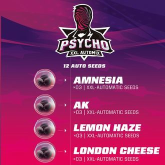 Psycho XXL Auto MIX (BSF Seeds) feminized