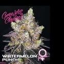 Watermelon Punch (Growers Choice) feminisiert