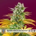 Gorilla Girl - F1 Fast Version (Sweet Seeds) feminisiert