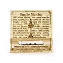 Purple Matcha (Humboldt Seed Organization) feminisiert