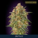 Zkittlez (Advanced Seeds) feminisiert