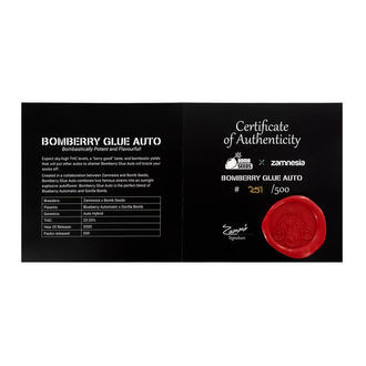 Bomberry Glue Auto (Bomb Seeds x Zamnesia) feminized