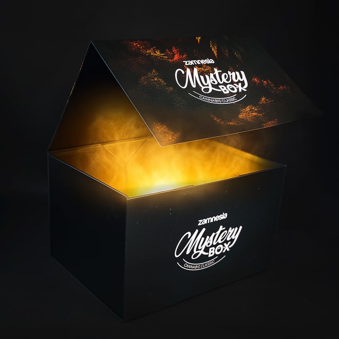 Limited Classic Cannabis Mystery Box by Zamnesia - Zamnesia