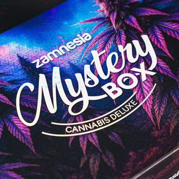 Cannabis Mystery Box (Zamnesia)