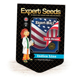 Expert Mac1 (Expert Seeds) feminisiert