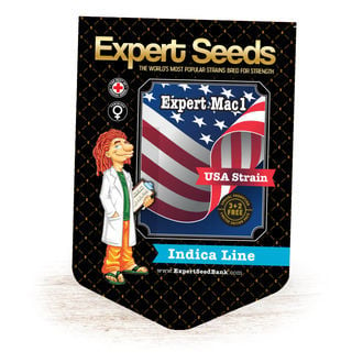 Expert Mac1 (Expert Seeds) feminisiert