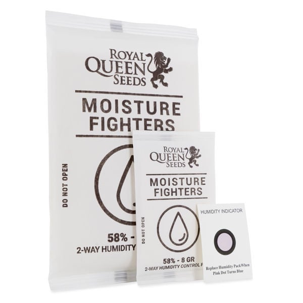 Filtres pour Joints Réutilisables Royal Queen Seeds – Pack de 10 - Royal  Queen Seeds