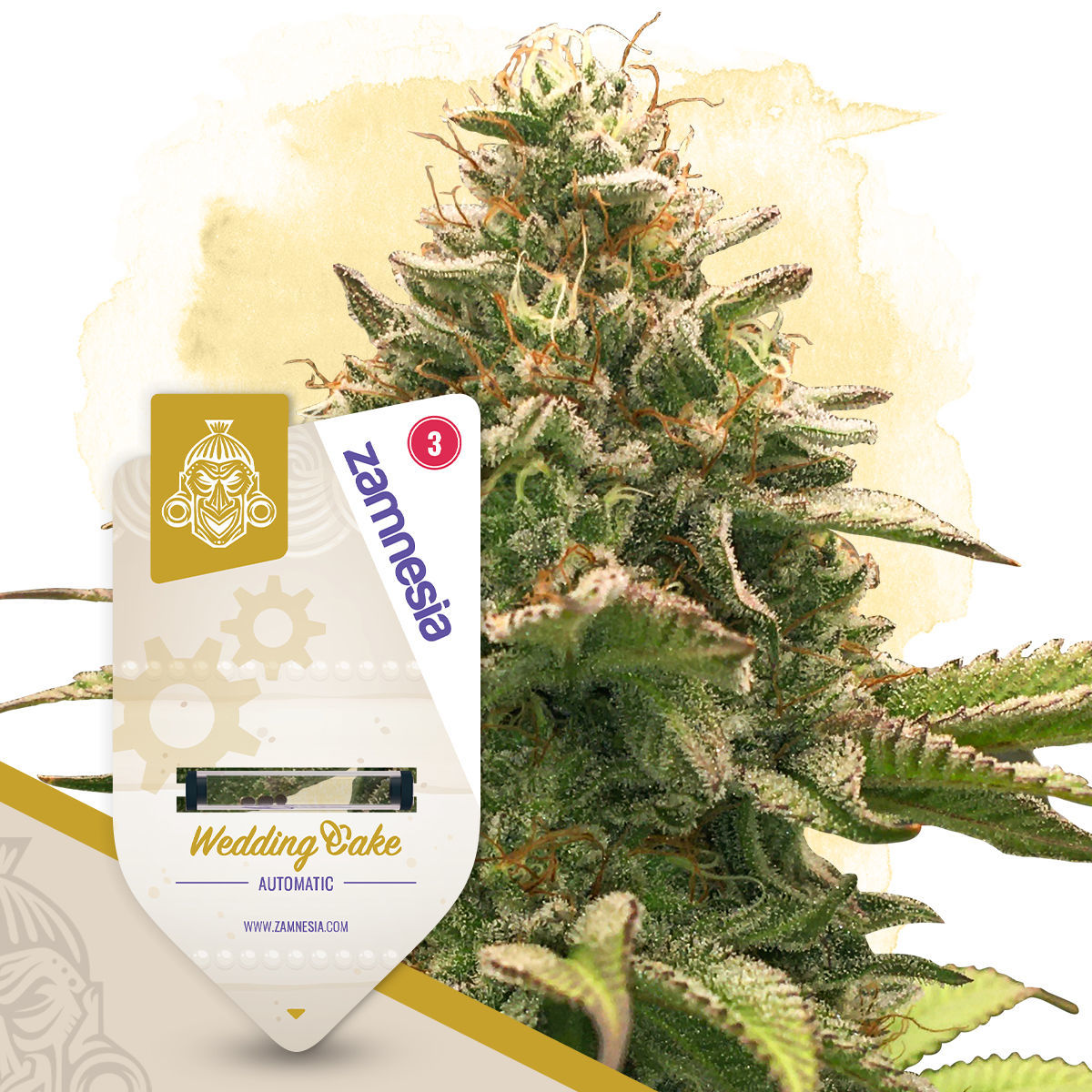 Wedding Cake Auto (Zamnesia)