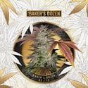 Baker's Dozen Exclusive (T.H.Seeds x Zamnesia) feminisiert