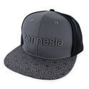 Zamnesia Snapback Cap Grey