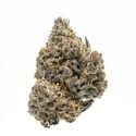 Rainbow Runtz (Growers Choice) feminisiert