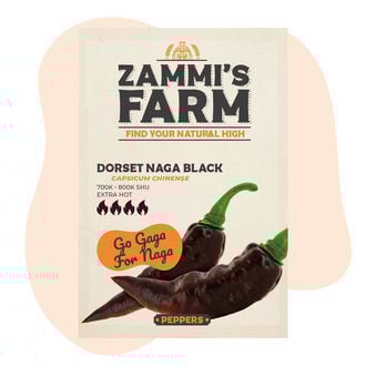 Dorset Naga Black Seeds