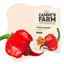 Carolina Reaper Samen