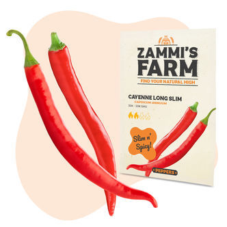 Cayenne Long Slim Samen