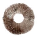 Spore Print Psilocybe cubensis Ban Hua Thai