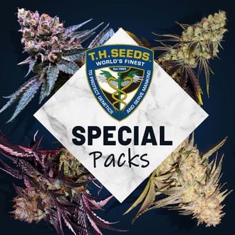Limited-Edition Strains (T.H.Seeds) Feminized 