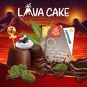 Lava Cake (Zamnesia Seeds) feminized