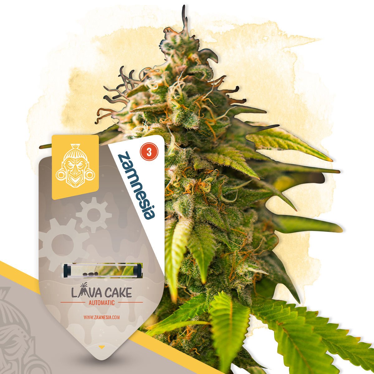 Lava Cake Auto (Zamnesia)