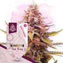 Pink Rozay (Zamnesia Seeds) feminisiert