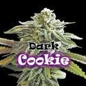 Dark Cookie (Dr. Underground) feminisiert