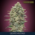 Gelato 33 Fast (Advanced Seeds) Feminisiert